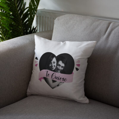 Grey Pillow On Grey Sofa