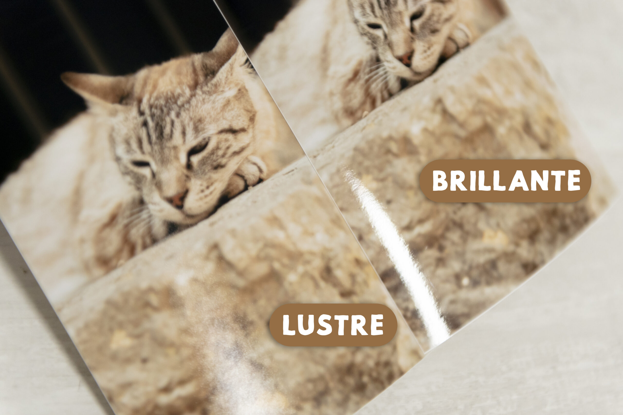 Lustre Brillo #01 Nombres