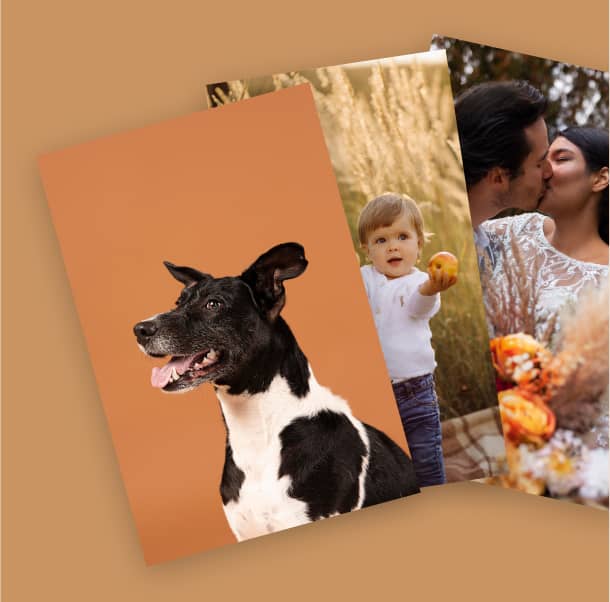 Sube Tus Fotos Sube Tus Fotos